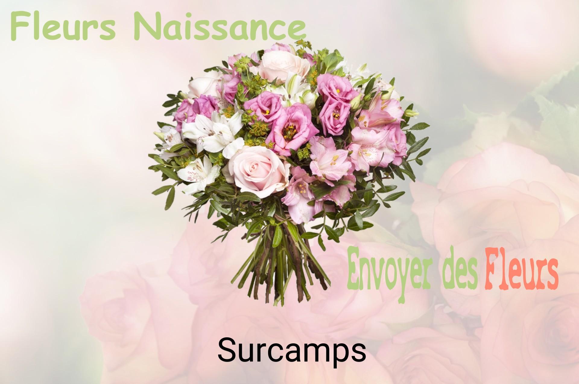 Bouquet de fleurs de naissance livré à Surcamps