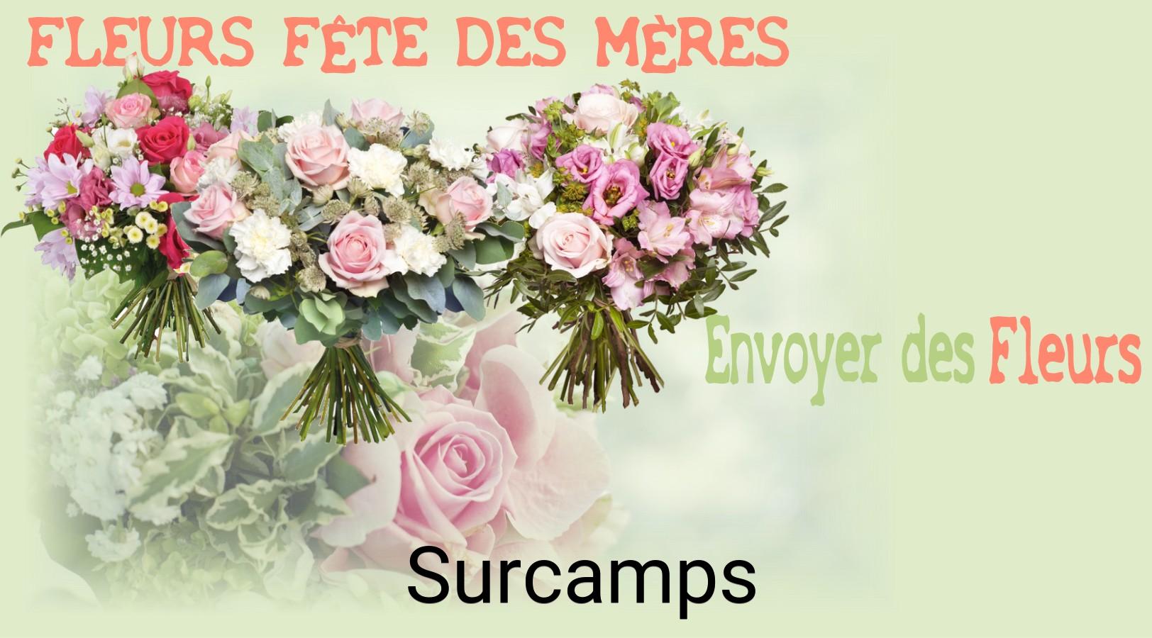Bouquet de Fête des Mères livré à Surcamps
